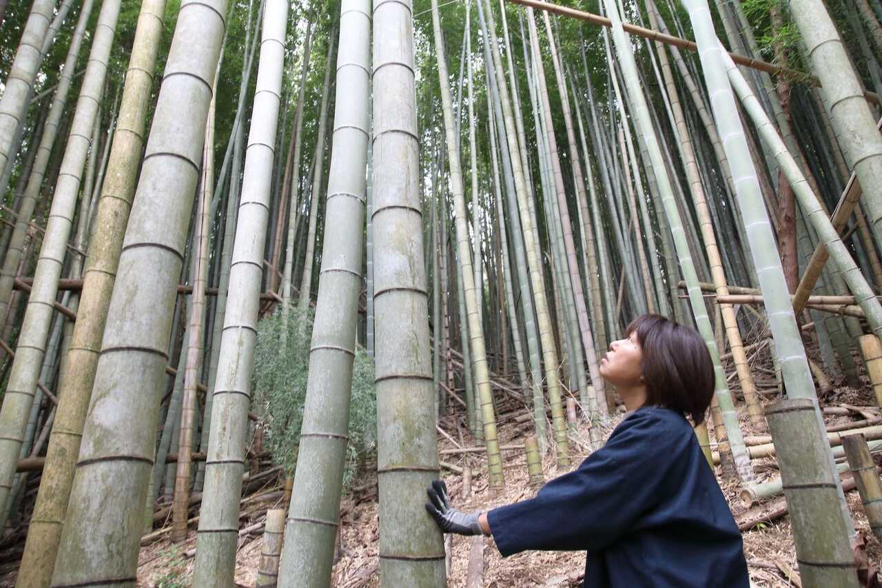 房総竹部 | 山から伐りだした竹で竹かごをつくろう | WILD MIND GO! GO!