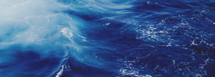 海 SEA